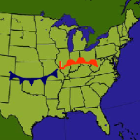 Wave Stage of Cyclogenesis.png