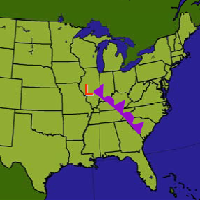 Dissipation Stage of Cyclogenesis.png