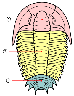 Trisections.png