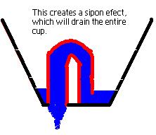 Jyc siphoncup 4.jpg