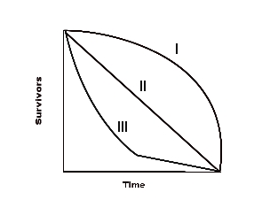 Survivor curve.jpg