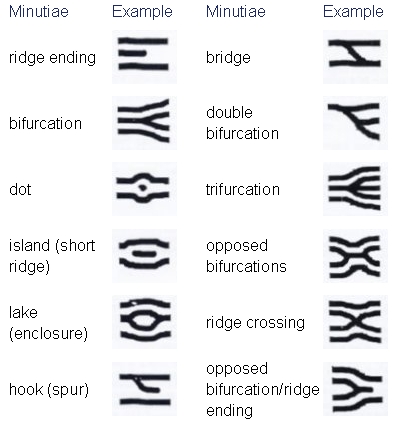 Galton-characteristics1.jpg