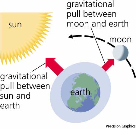 Neap Tide Diagram