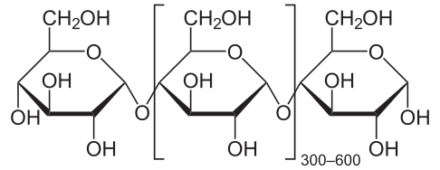 Amylose.png