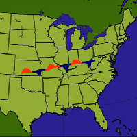 Stationary Stage of Cyclogenesis.png