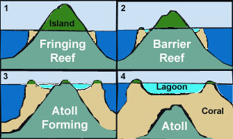 Atoll formation.jpg