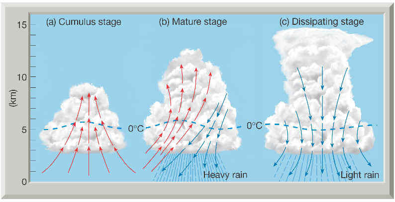 Thunderstorm.stages.jpg