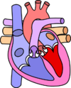 Heart icon.png