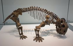 Lystrosaurus.jpg