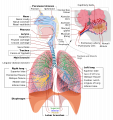 Thumbnail for version as of 21:06, 6 June 2017