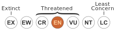 Status iucn3.1 EN.svg