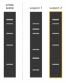 DNA Fingerprint.png