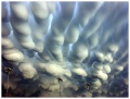 Mammatus.jpg