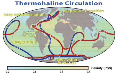 Thermohaline Circulation.png