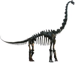 Brachiosaurus.jpg