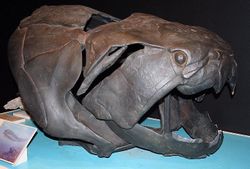 Dunkleosteus.jpg