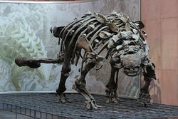 Ankylosaurus.jpg